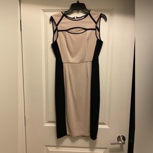 BCBG Dress